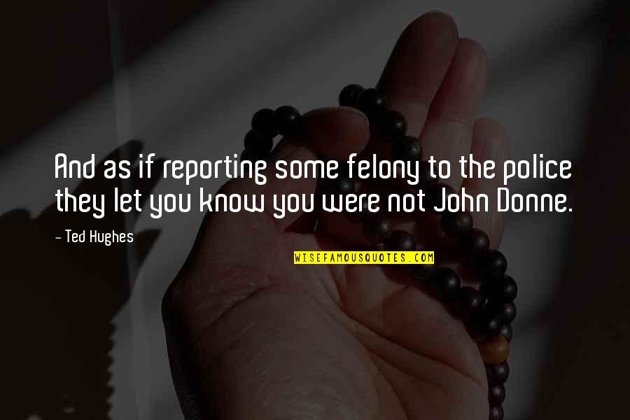 Felony Quotes By Ted Hughes: And as if reporting some felony to the