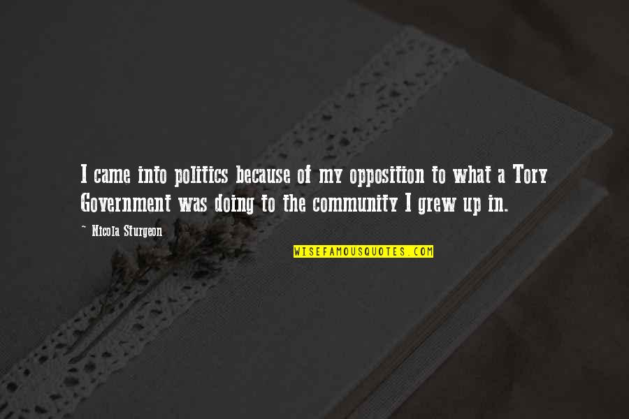 Felsenstein Quotes By Nicola Sturgeon: I came into politics because of my opposition Felsenstein Quotes By Nicola Sturgeon: I came into politics because of my opposition