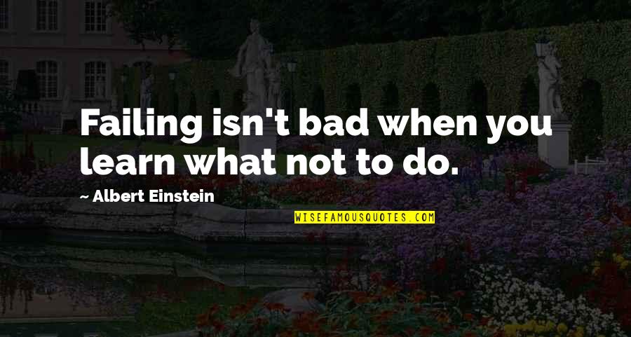 Felt For Furniture Quotes By Albert Einstein: Failing isn't bad when you learn what not