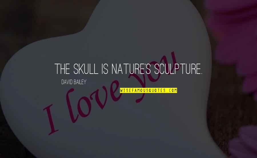 Felt Ignored Quotes By David Bailey: The skull is nature's sculpture.