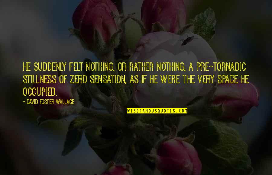 Felt Nothing Quotes By David Foster Wallace: He suddenly felt nothing, or rather Nothing, a