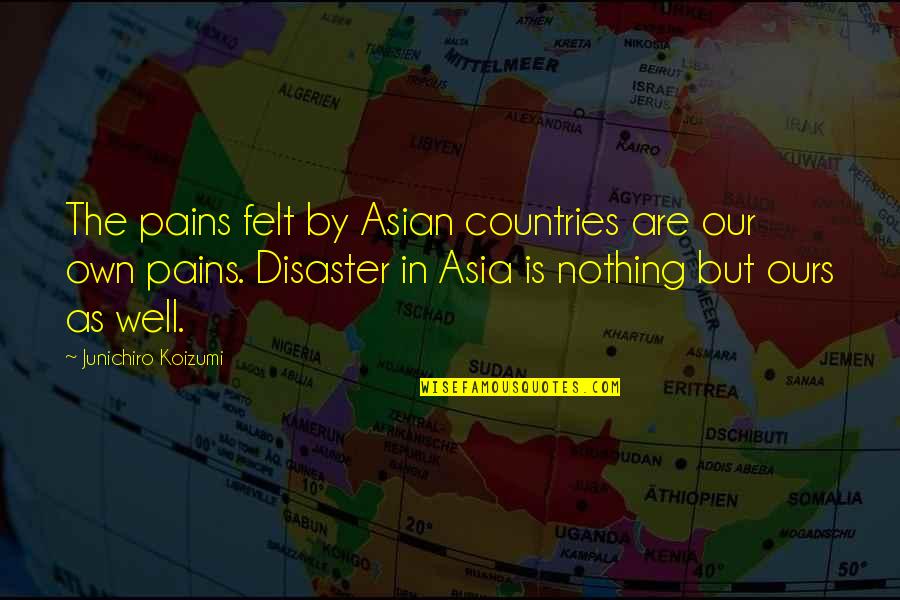 Felt Nothing Quotes By Junichiro Koizumi: The pains felt by Asian countries are our Felt Nothing Quotes By Junichiro Koizumi: The pains felt by Asian countries are our