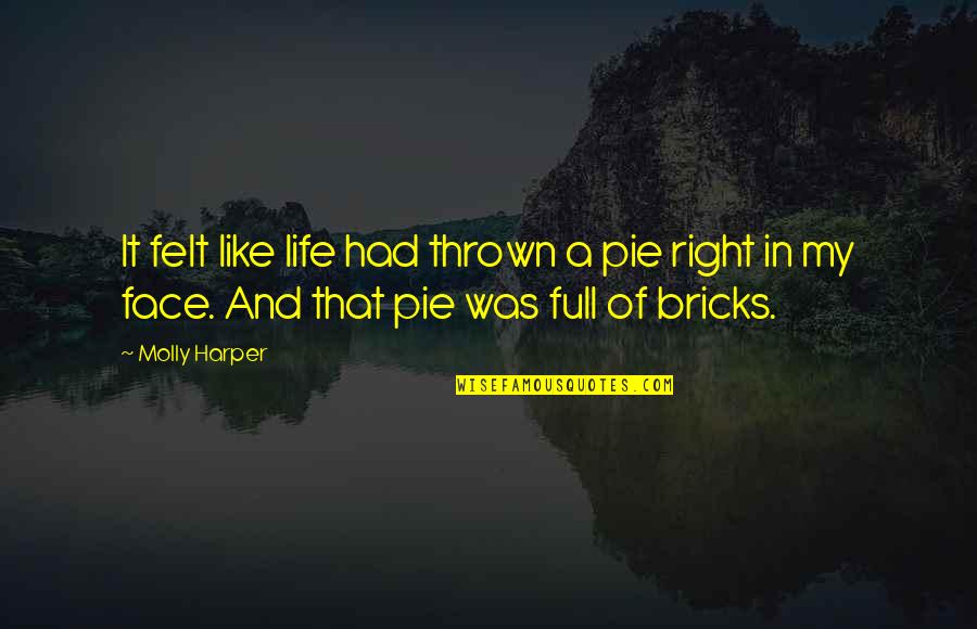 Felt Right Quotes By Molly Harper: It felt like life had thrown a pie Felt Right Quotes By Molly Harper: It felt like life had thrown a pie