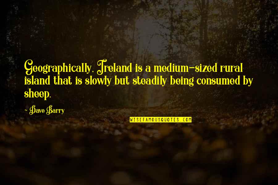 Felt The Weight Quotes By Dave Barry: Geographically, Ireland is a medium-sized rural island that Felt The Weight Quotes By Dave Barry: Geographically, Ireland is a medium-sized rural island that