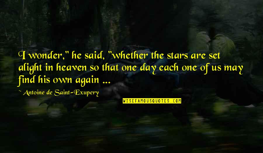 Felting Patterns Quotes By Antoine De Saint-Exupery: I wonder," he said, "whether the stars are