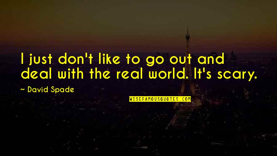 Feltrinelli Viale Quotes By David Spade: I just don't like to go out and