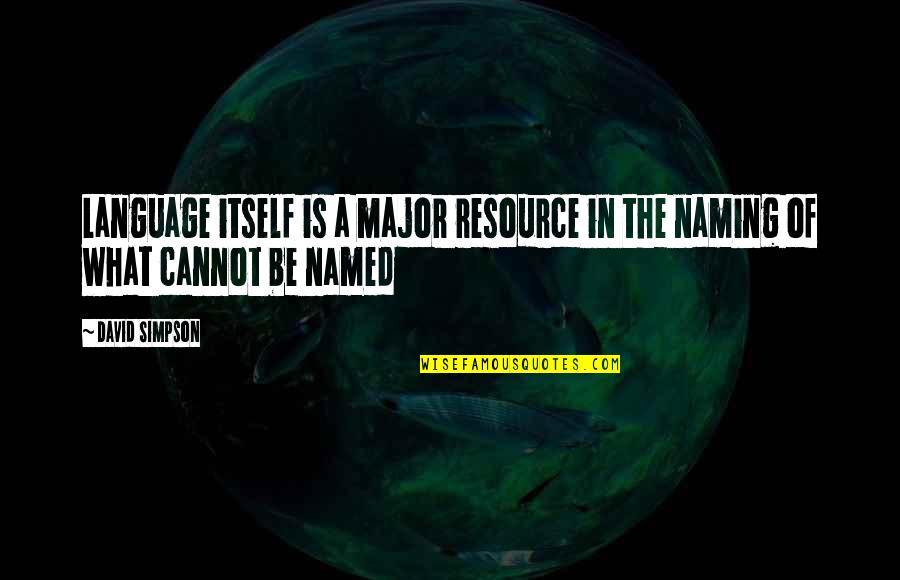 Female Attorney Quotes By David Simpson: Language itself is a major resource in the