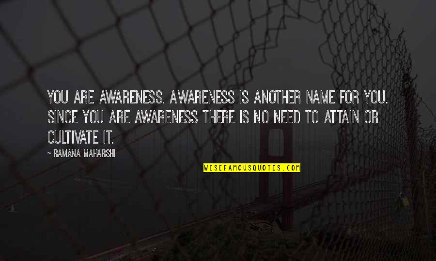 Female Comedian Funny Quotes By Ramana Maharshi: You are awareness. Awareness is another name for