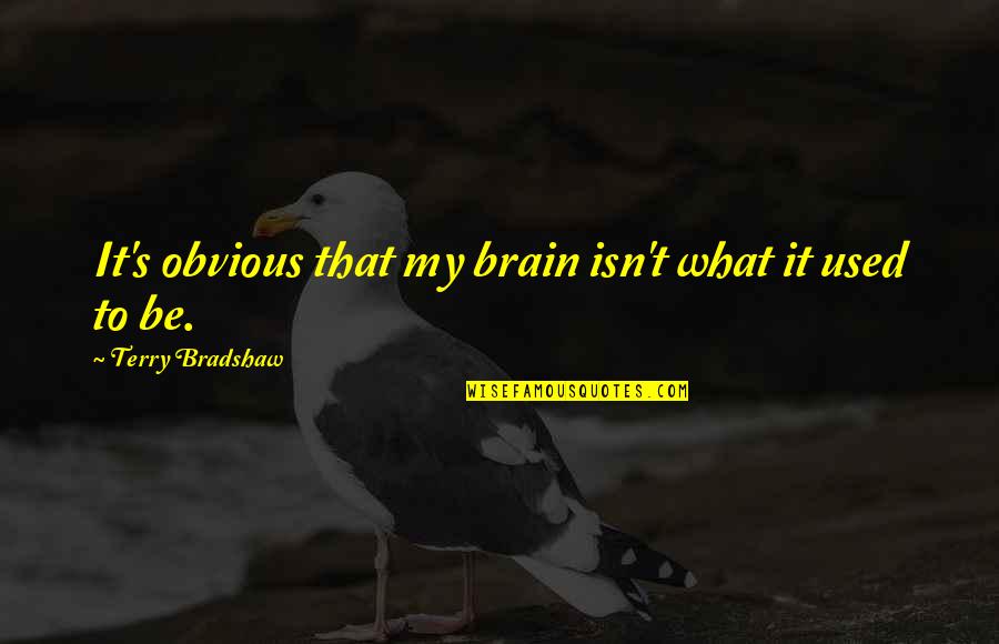Female Comedians Quotes By Terry Bradshaw: It's obvious that my brain isn't what it