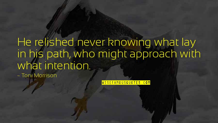 Female Jealousy Quotes By Toni Morrison: He relished never knowing what lay in his