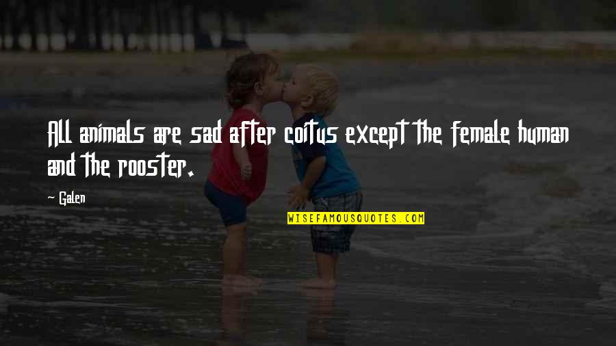 Female Vs Male Funny Quotes By Galen: All animals are sad after coitus except the