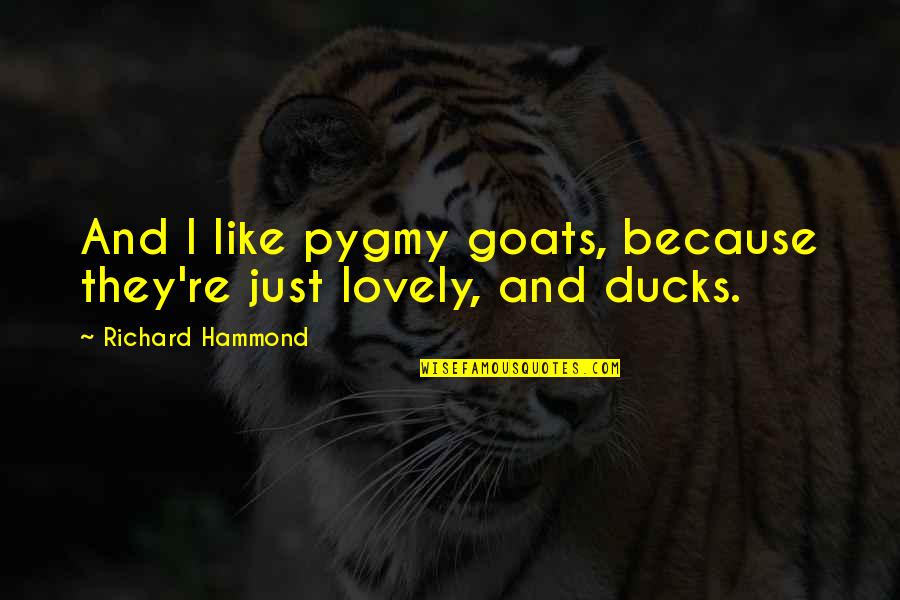 Femeilor Le Quotes By Richard Hammond: And I like pygmy goats, because they're just