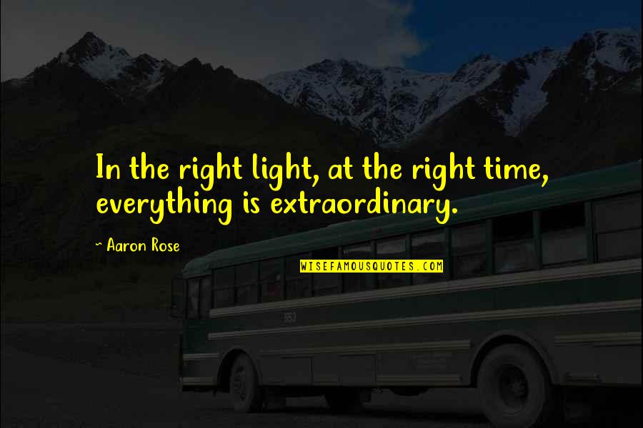 Femi Otedola Quotes By Aaron Rose: In the right light, at the right time,
