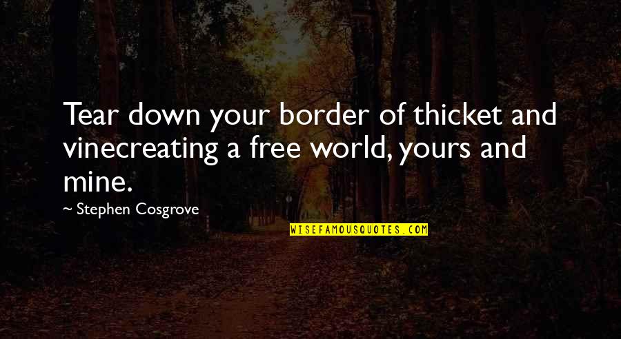 Femine Quotes By Stephen Cosgrove: Tear down your border of thicket and vinecreating