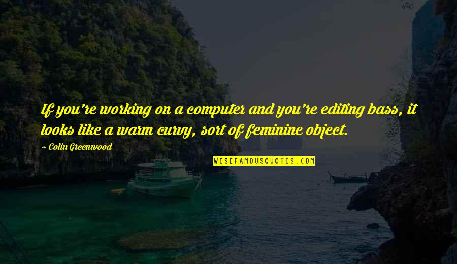 Feminine Quotes By Colin Greenwood: If you're working on a computer and you're