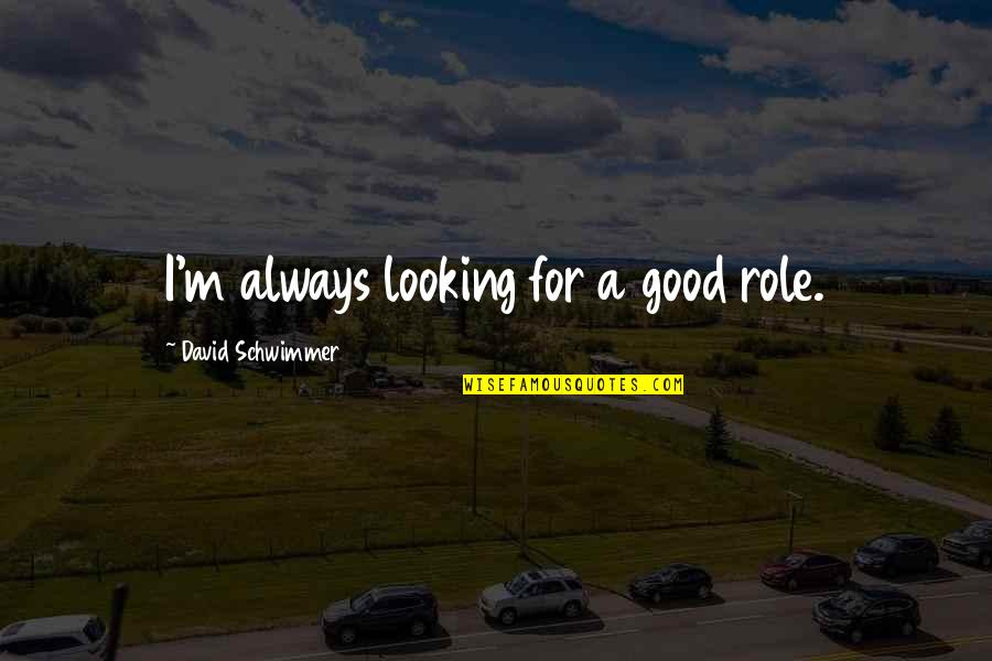 Feminist Anti War Quotes By David Schwimmer: I'm always looking for a good role.