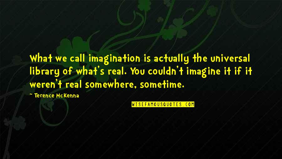Feminist Gloria Steinem Quotes By Terence McKenna: What we call imagination is actually the universal
