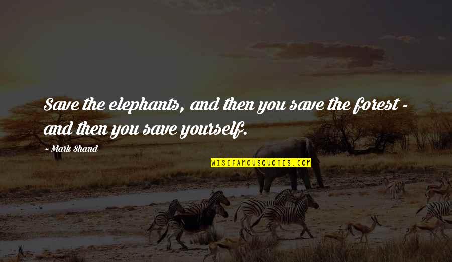 Femme Fatales Quotes By Mark Shand: Save the elephants, and then you save the