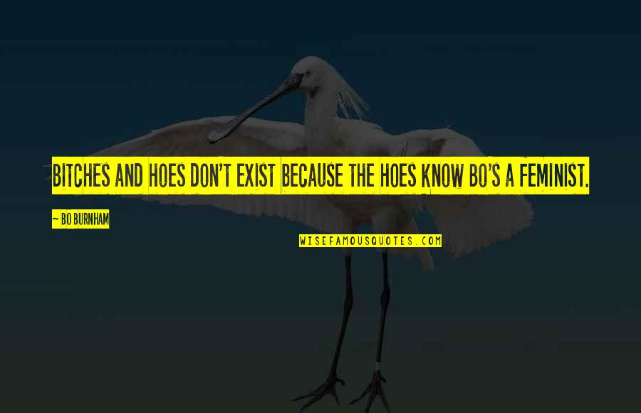 Fenbendazole Quotes By Bo Burnham: Bitches and hoes don't exist because the hoes