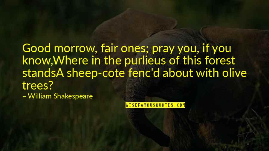 Fenc'd Quotes By William Shakespeare: Good morrow, fair ones; pray you, if you