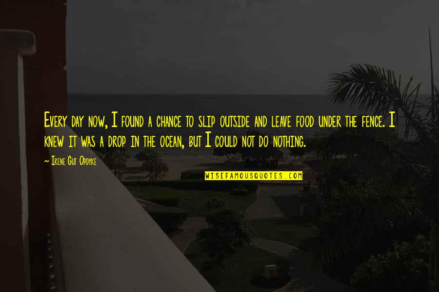 Fence In Quotes By Irene Gut Opdyke: Every day now, I found a chance to Fence In Quotes By Irene Gut Opdyke: Every day now, I found a chance to