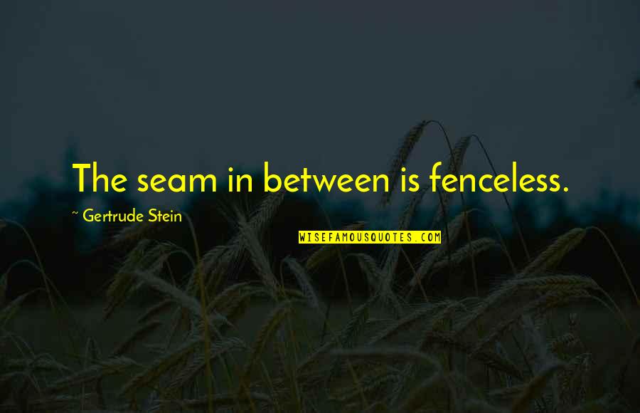 Fenceless Quotes By Gertrude Stein: The seam in between is fenceless.