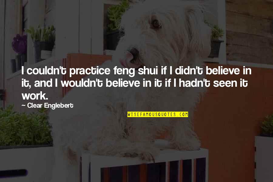 Feng Shui Quotes By Clear Englebert: I couldn't practice feng shui if I didn't