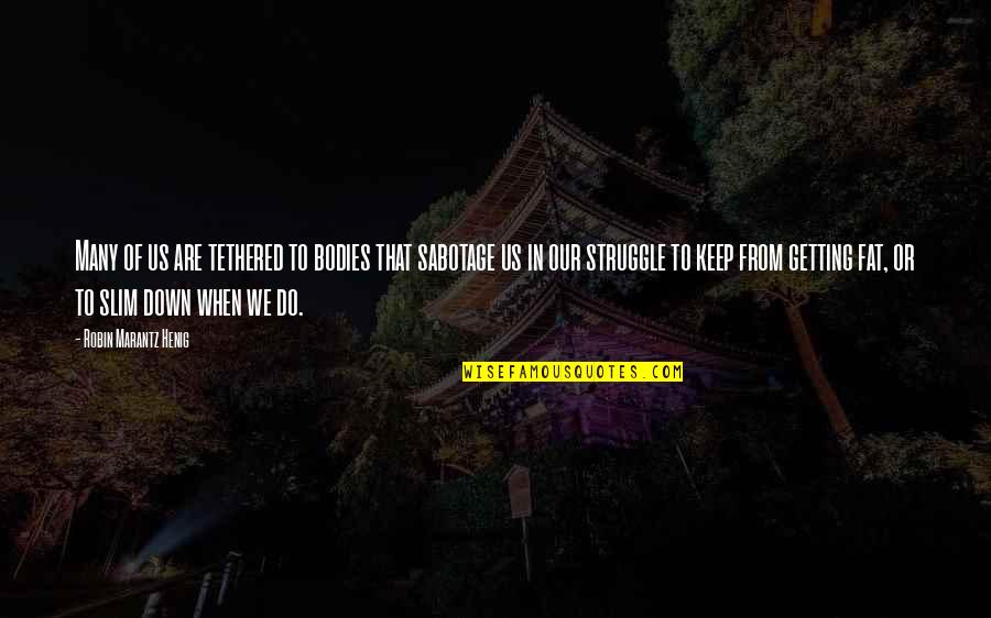Fenkell Glass Quotes By Robin Marantz Henig: Many of us are tethered to bodies that Fenkell Glass Quotes By Robin Marantz Henig: Many of us are tethered to bodies that