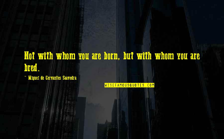 Fenley Graham Quotes By Miguel De Cervantes Saavedra: Not with whom you are born, but with Fenley Graham Quotes By Miguel De Cervantes Saavedra: Not with whom you are born, but with