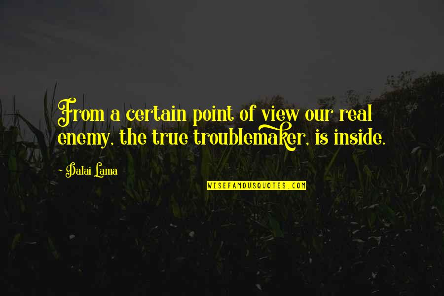 Fenno Quotes By Dalai Lama: From a certain point of view our real