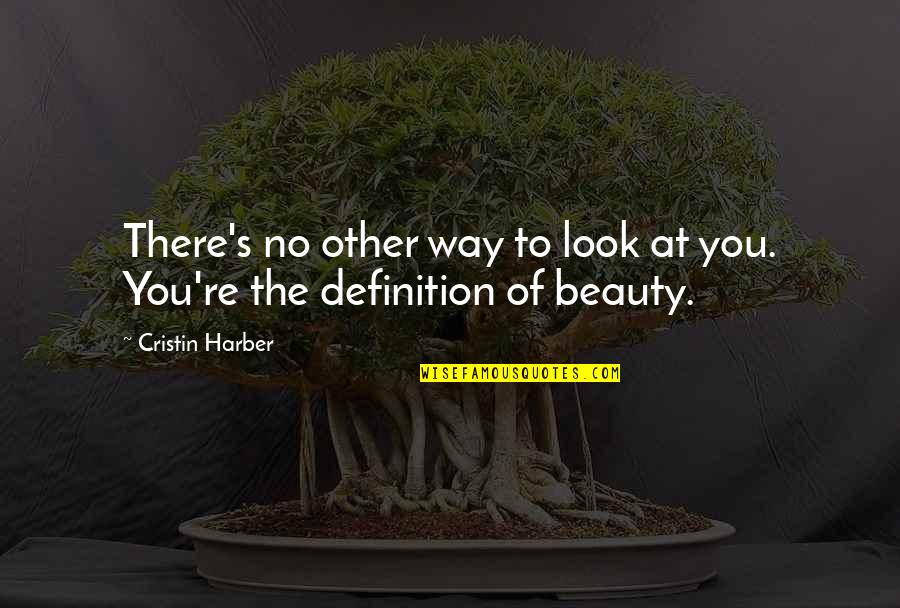 Fennos Paradox Quotes By Cristin Harber: There's no other way to look at you.