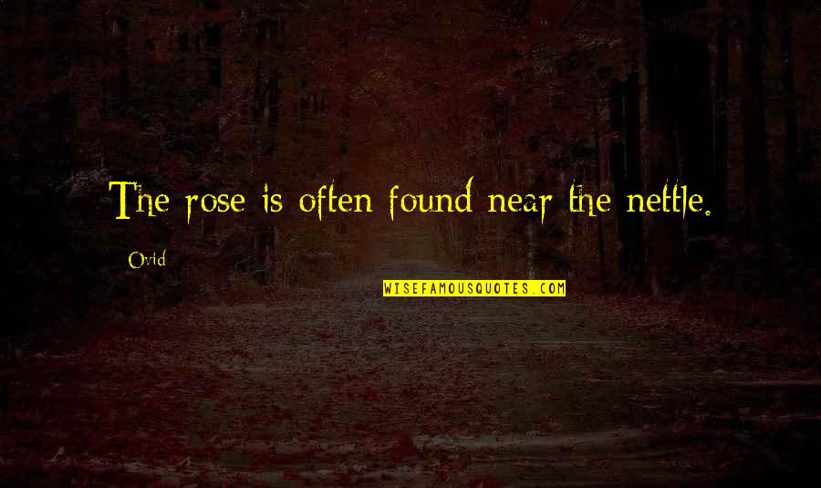 Fentek Quotes By Ovid: The rose is often found near the nettle.