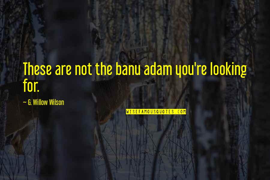 Fenters And Ward Quotes By G. Willow Wilson: These are not the banu adam you're looking Fenters And Ward Quotes By G. Willow Wilson: These are not the banu adam you're looking