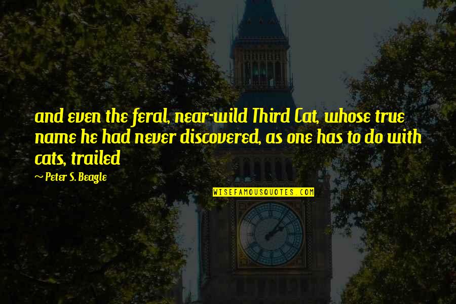 Feral Quotes By Peter S. Beagle: and even the feral, near-wild Third Cat, whose