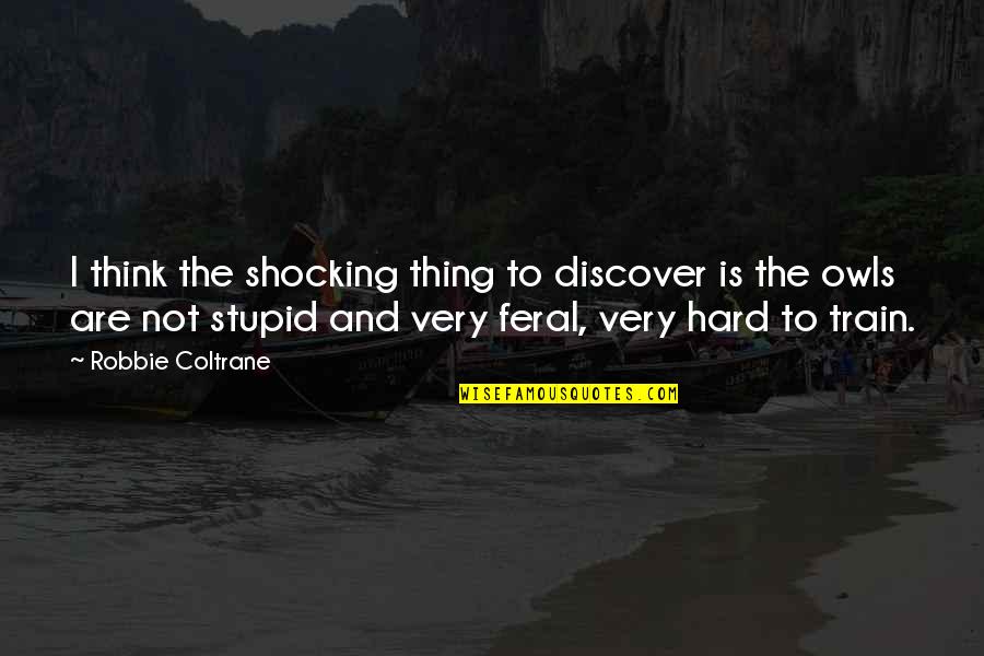 Feral Quotes By Robbie Coltrane: I think the shocking thing to discover is