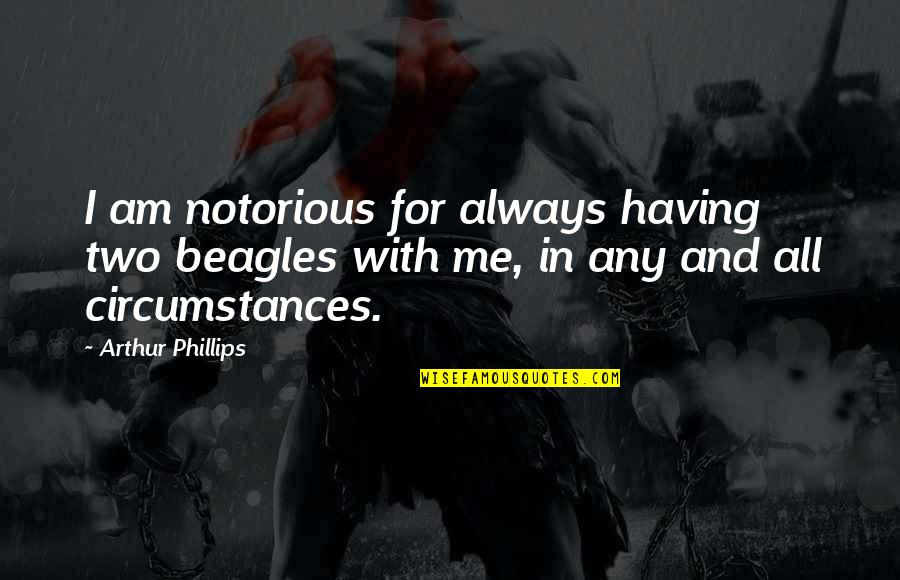 Ferdaus Jute Quotes By Arthur Phillips: I am notorious for always having two beagles Ferdaus Jute Quotes By Arthur Phillips: I am notorious for always having two beagles