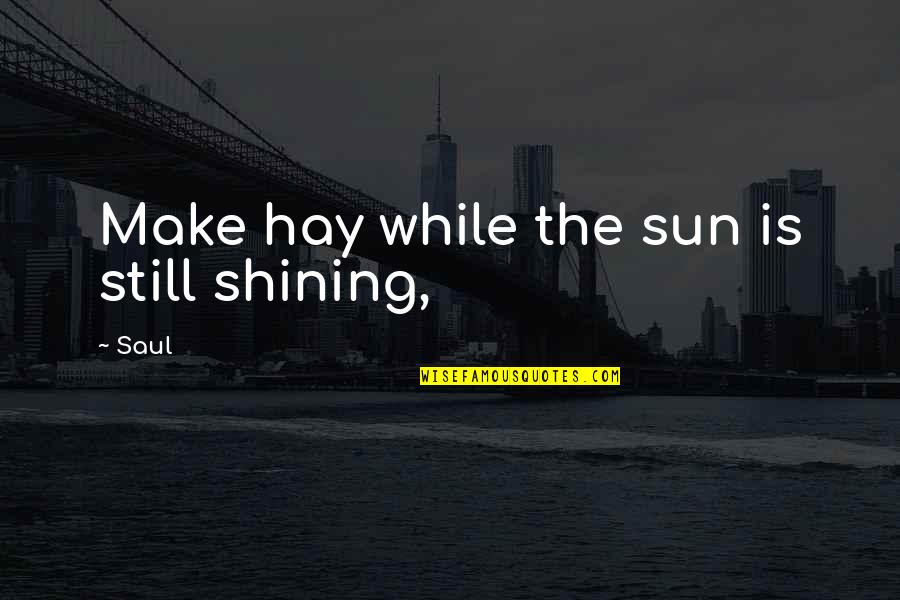 Ferdaus Jute Quotes By Saul: Make hay while the sun is still shining,