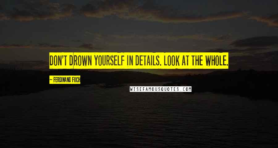Ferdinand Foch quotes: Don't drown yourself in details. Look at the whole.