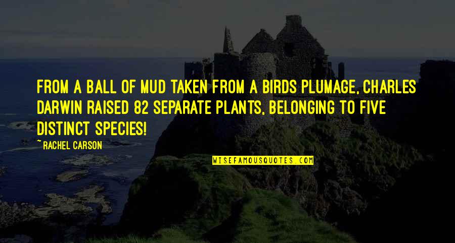 Ferdinand Magellan Quotes By Rachel Carson: From a ball of mud taken from a Ferdinand Magellan Quotes By Rachel Carson: From a ball of mud taken from a