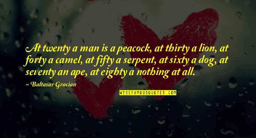 Fereastra Suki Quotes By Baltasar Gracian: At twenty a man is a peacock, at Fereastra Suki Quotes By Baltasar Gracian: At twenty a man is a peacock, at
