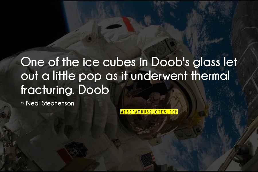 Ferguson Shooting Quotes By Neal Stephenson: One of the ice cubes in Doob's glass