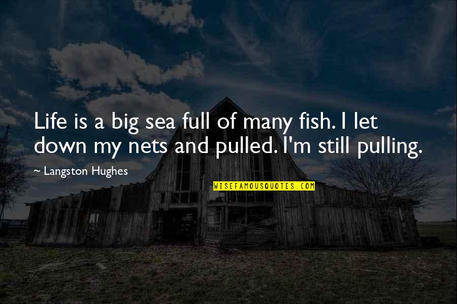 Fericirile Din Quotes By Langston Hughes: Life is a big sea full of many