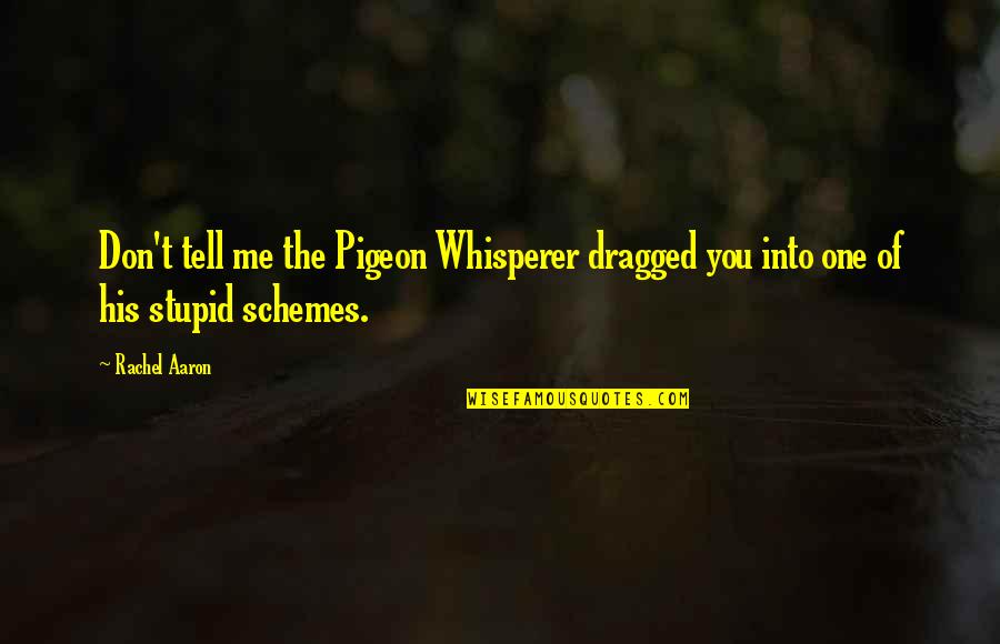 Ferida Gasardzhyan Quotes By Rachel Aaron: Don't tell me the Pigeon Whisperer dragged you