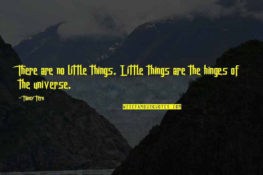 Fern Quotes By Fanny Fern: There are no little things. Little things are
