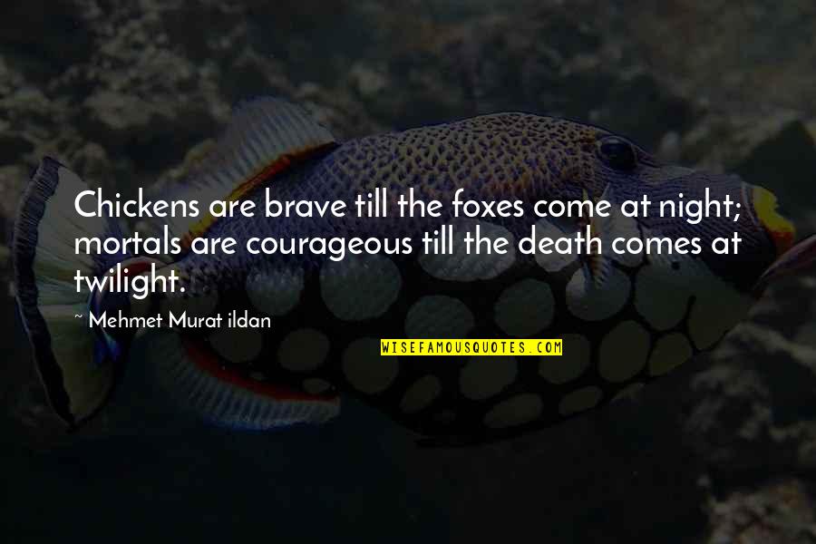 Fernand Lamaze Quotes By Mehmet Murat Ildan: Chickens are brave till the foxes come at Fernand Lamaze Quotes By Mehmet Murat Ildan: Chickens are brave till the foxes come at