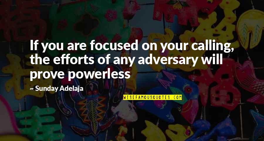 Fernanda Young Quotes By Sunday Adelaja: If you are focused on your calling, the