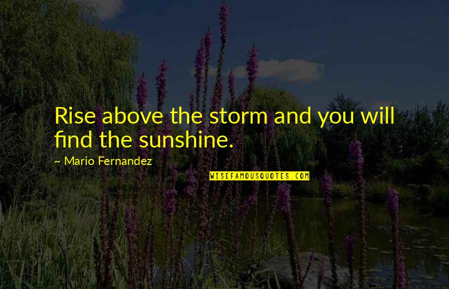 Fernandez Quotes By Mario Fernandez: Rise above the storm and you will find