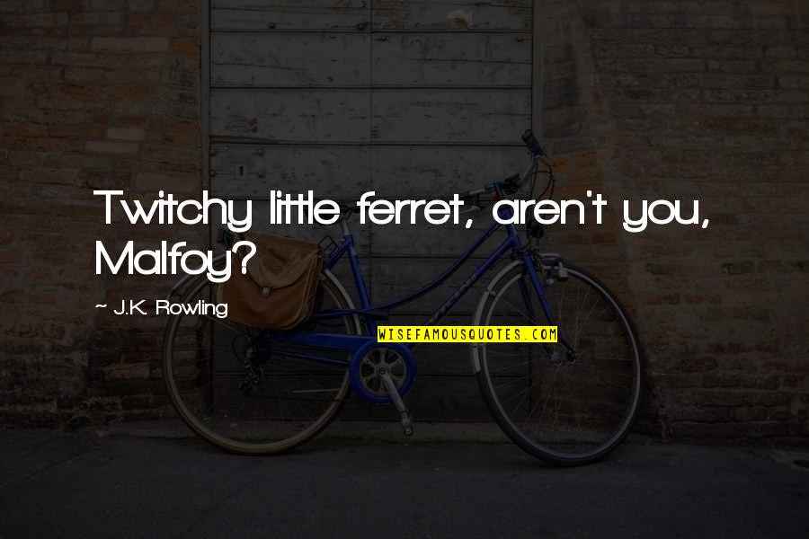 Ferret Quotes By J.K. Rowling: Twitchy little ferret, aren't you, Malfoy?