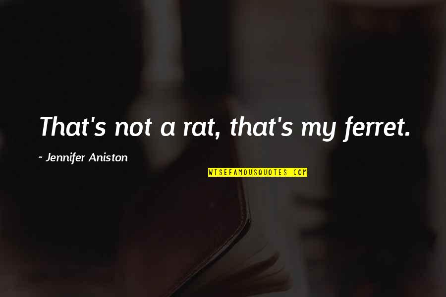 Ferret Quotes By Jennifer Aniston: That's not a rat, that's my ferret.