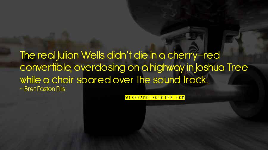 Ferrier Car Quotes By Bret Easton Ellis: The real Julian Wells didn't die in a